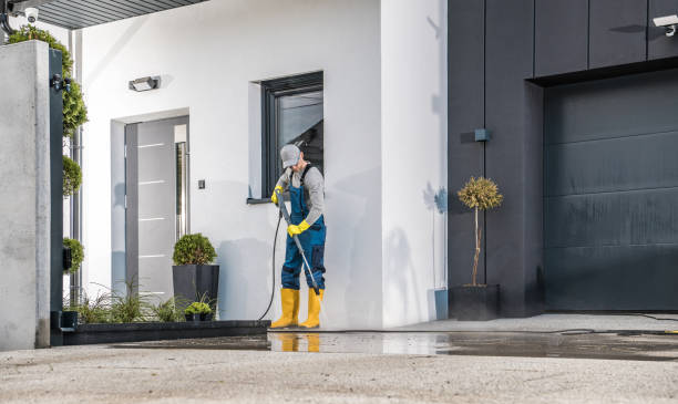 Best Solar Panel Cleaning  in Spearman, TX